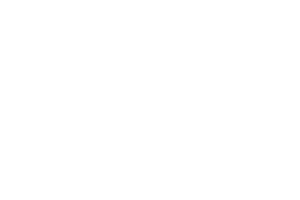 Ventiis Logo